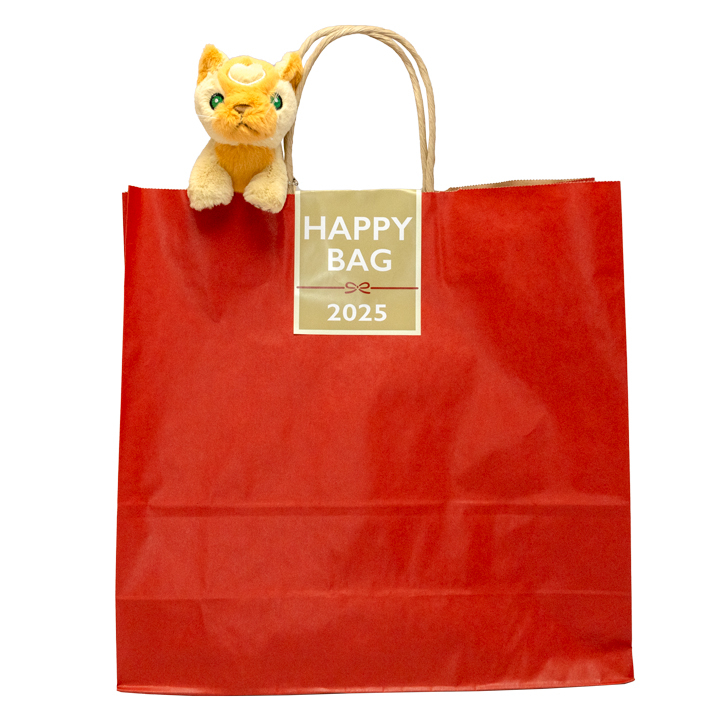 HAPPY BAG A (当たりなし)